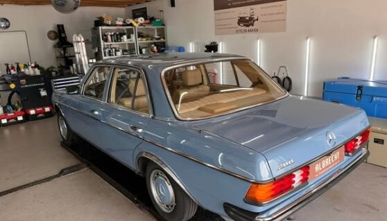 imgi_121_480859807_1242289791229887_8196551256449985573_n