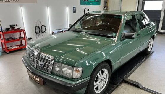 imgi_95_482118410_1252733116852221_8701651587095203717_n